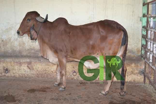Godawari-1